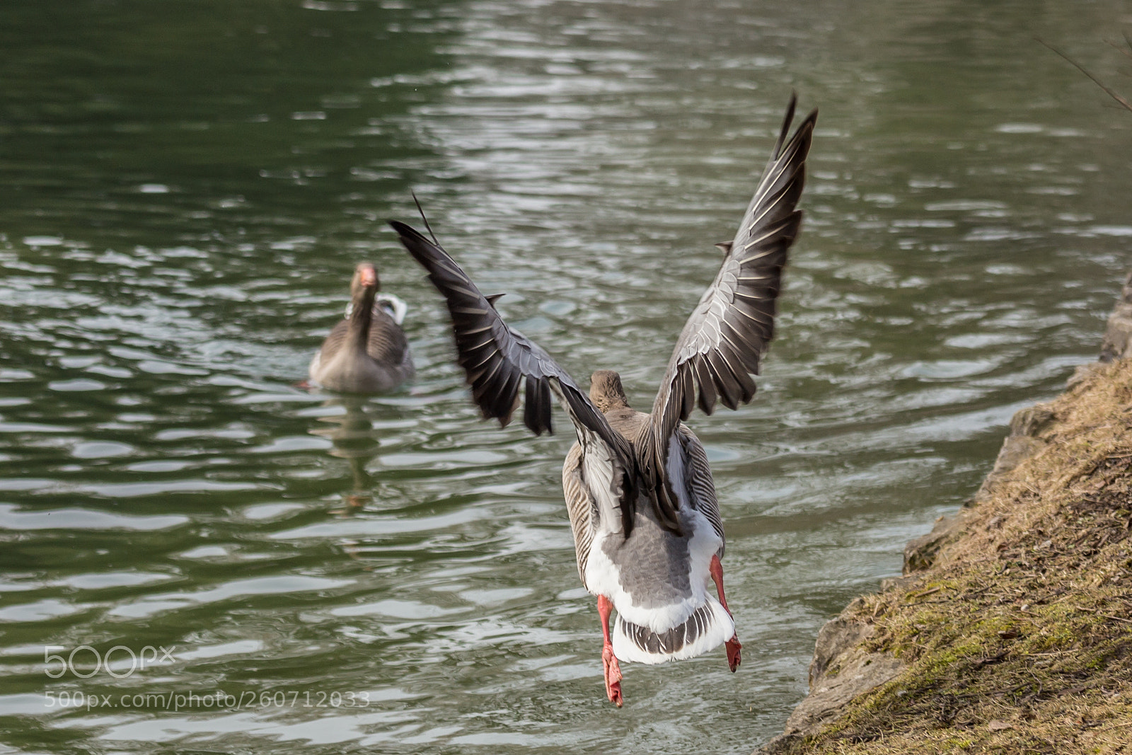 Canon EOS 6D sample photo. 2018 munich photography