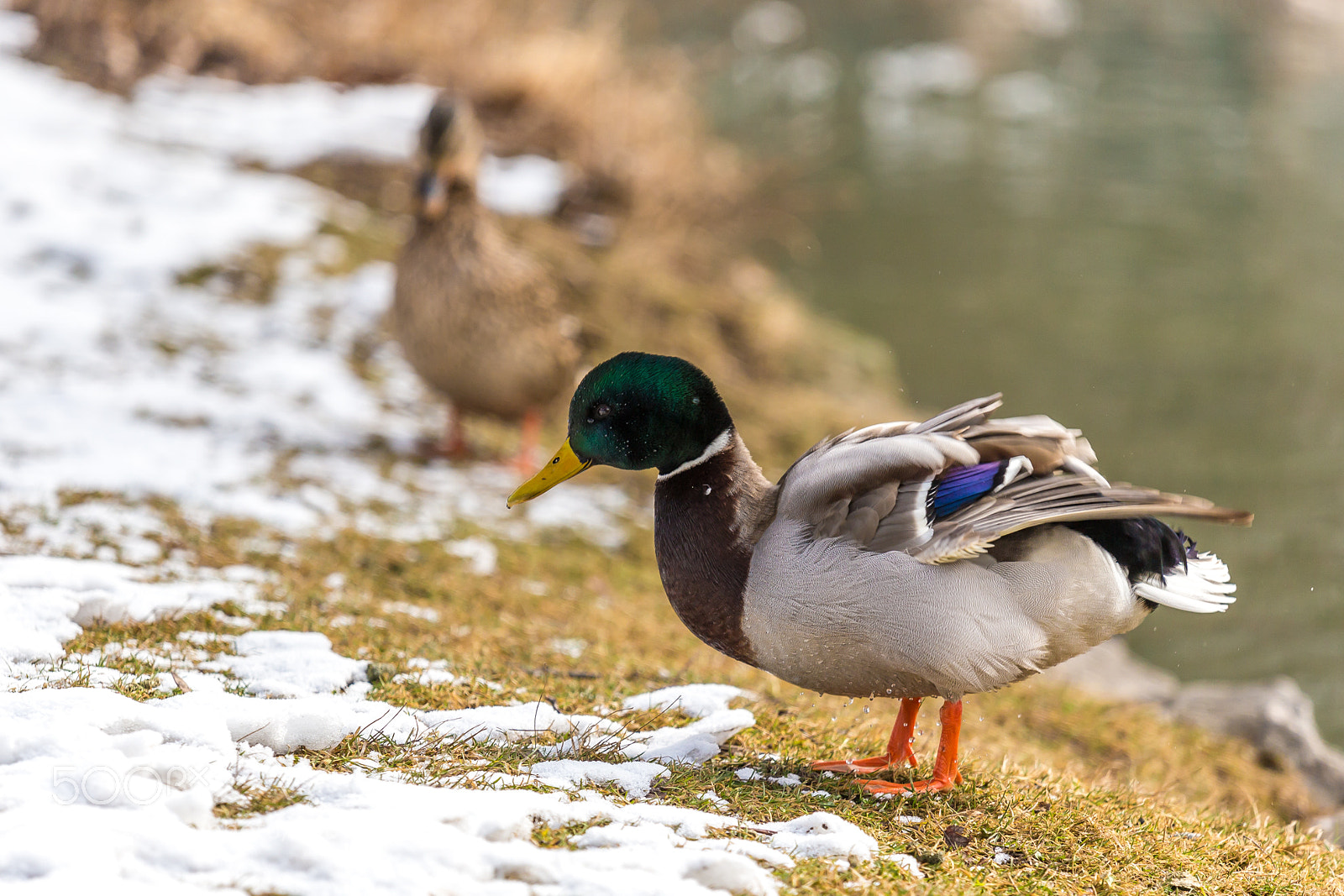 Canon EOS 6D sample photo. 2018 munich photography