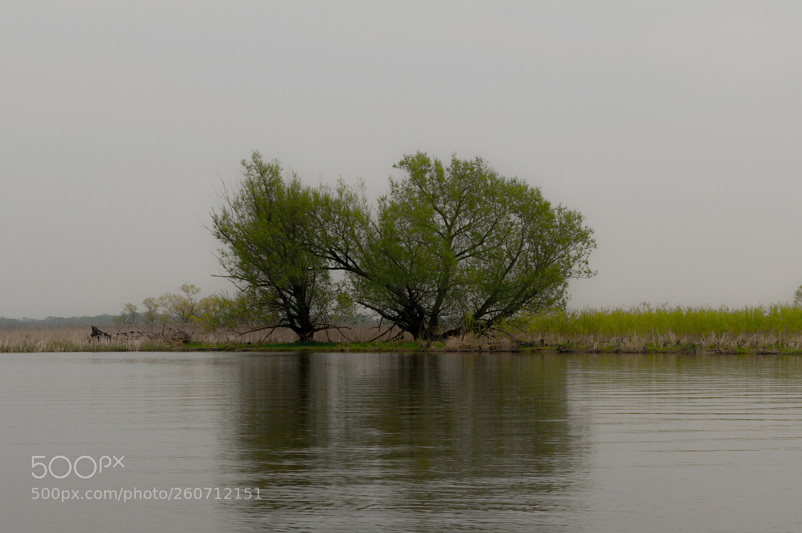 Nikon D3200 sample photo. 0220170428.jpg photography