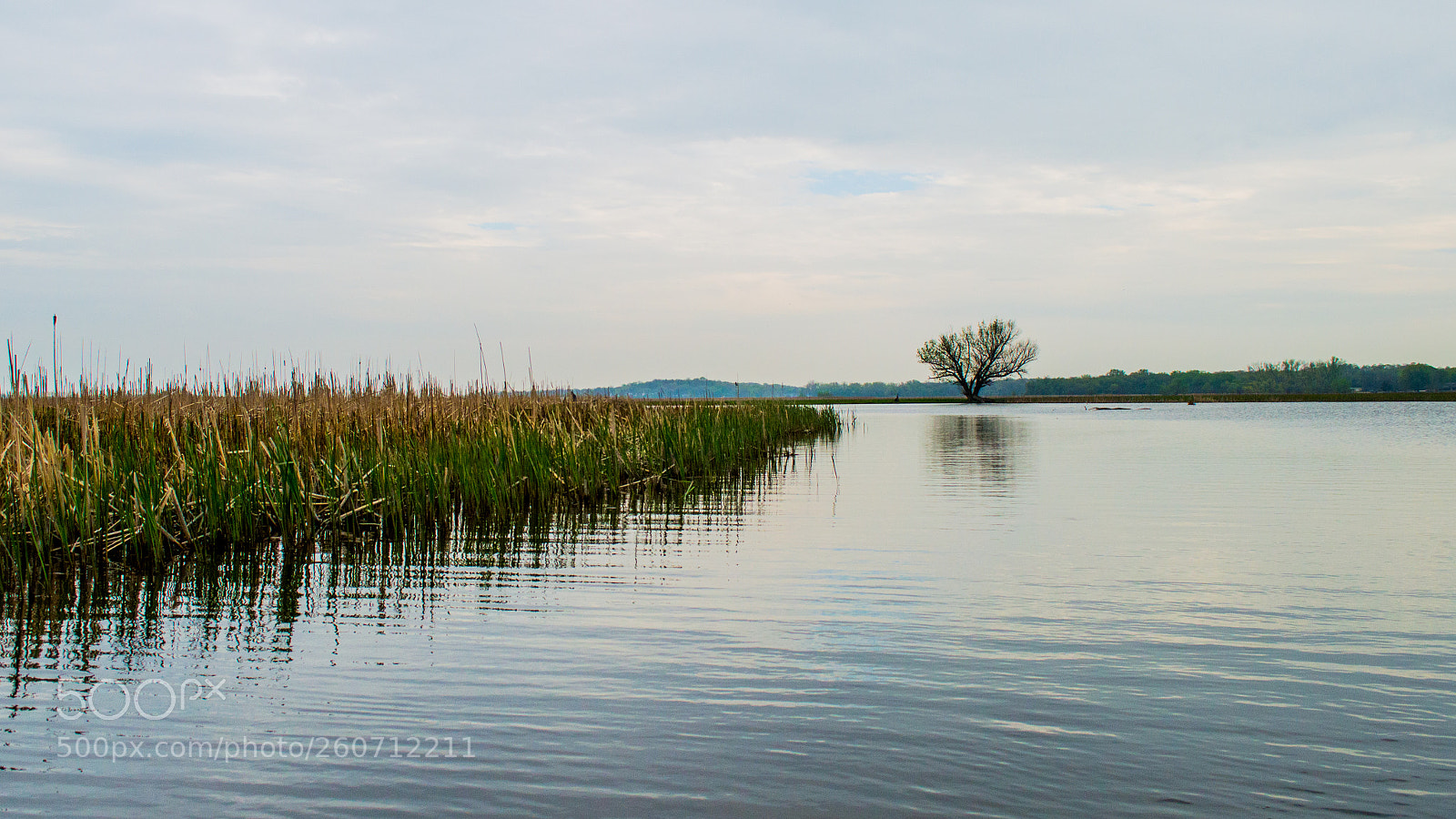 Nikon D3200 sample photo. 0520170428.jpg photography