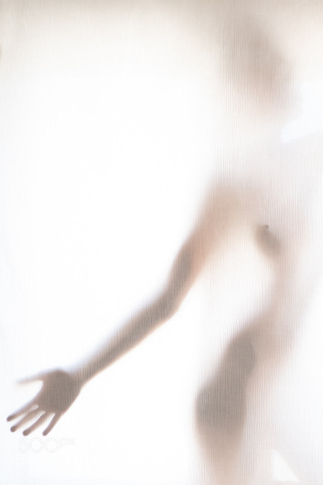 Nikon D750 sample photo. Pont photography