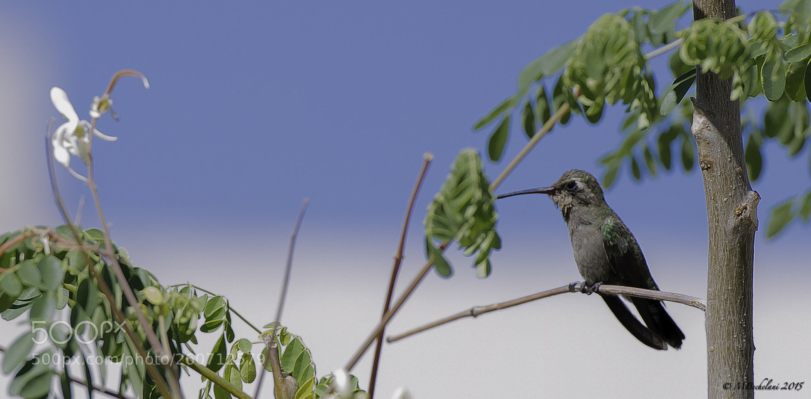 Nikon D800 sample photo. Ebfo photography