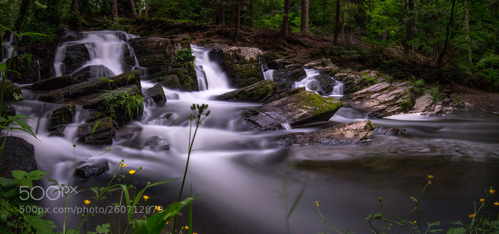 Canon EOS 70D sample photo. Selkefall photography
