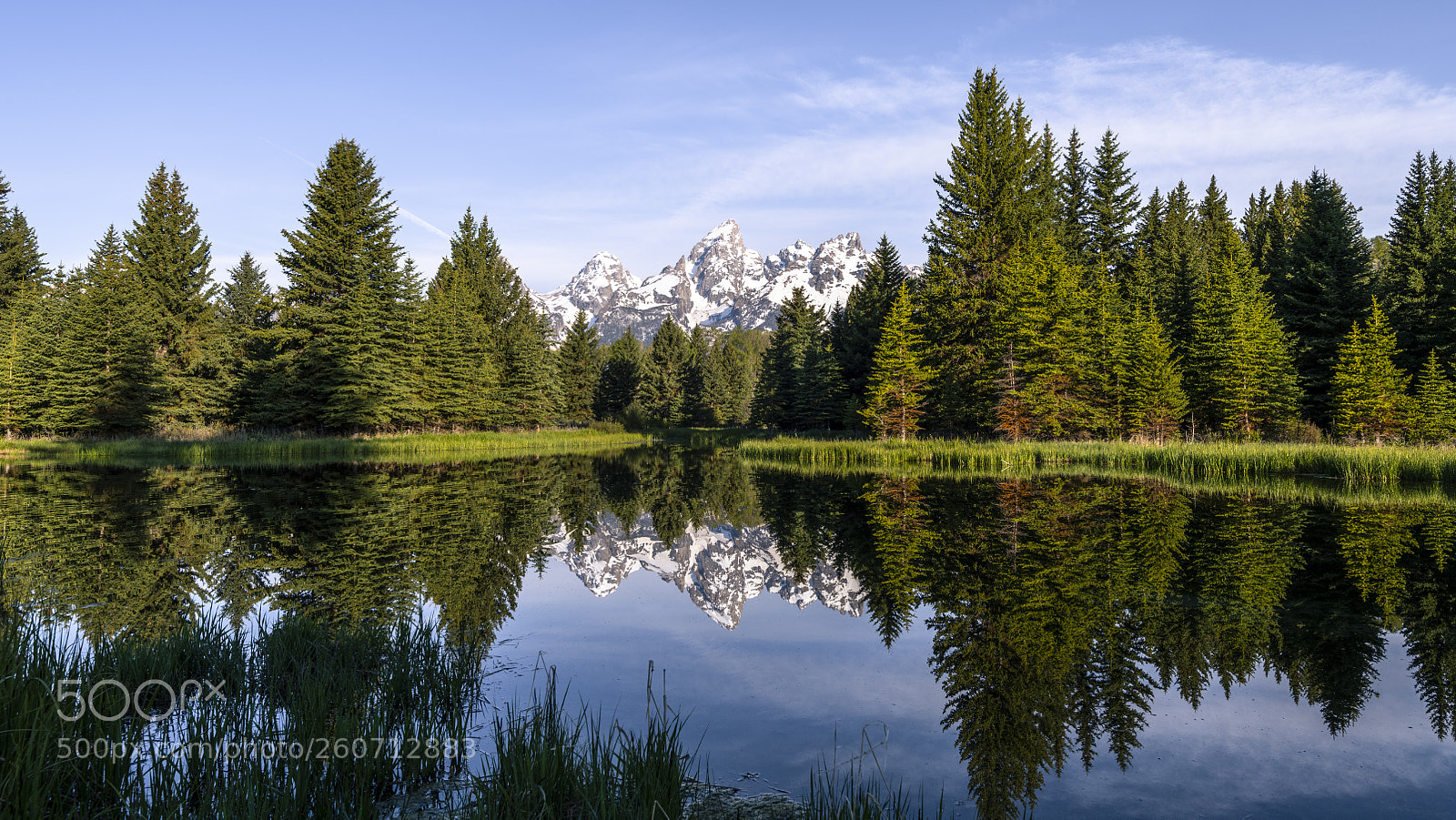Nikon D850 sample photo. Reflections photography