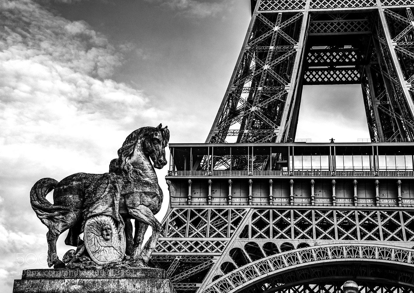 Canon EOS 5D Mark IV sample photo. Black&white photography