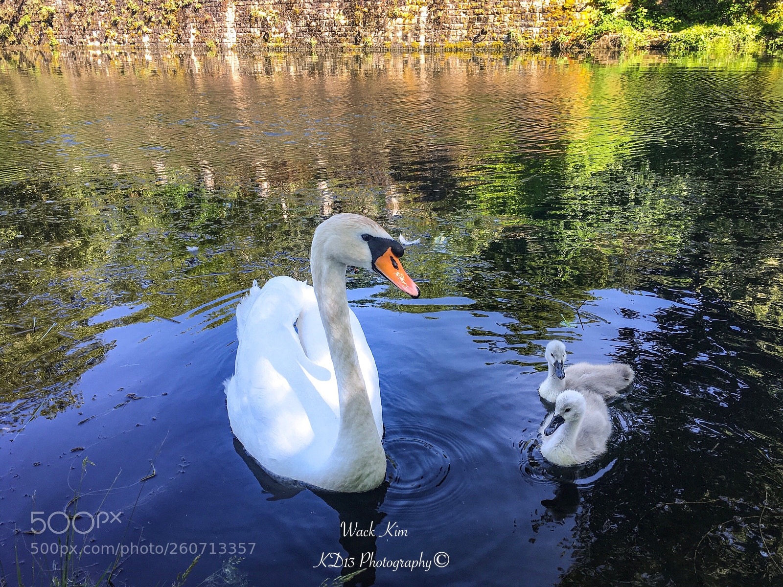 Apple iPhone 6s sample photo. Family photography