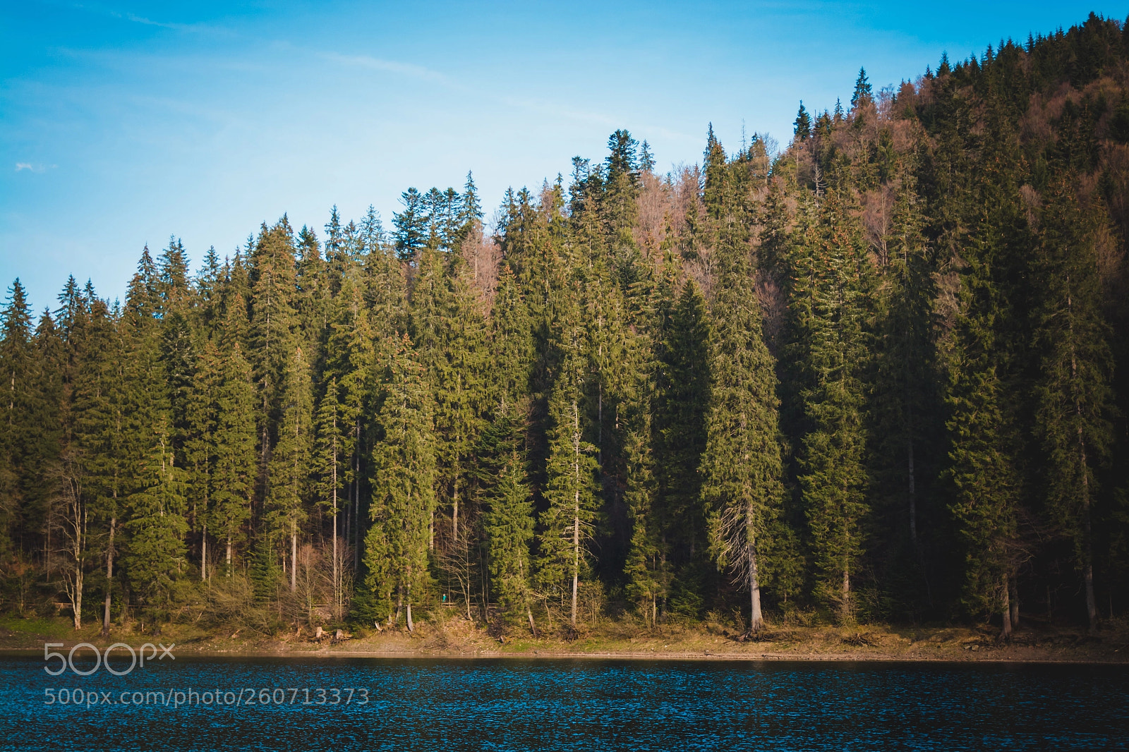 Nikon D5200 sample photo. Synevir lake photography