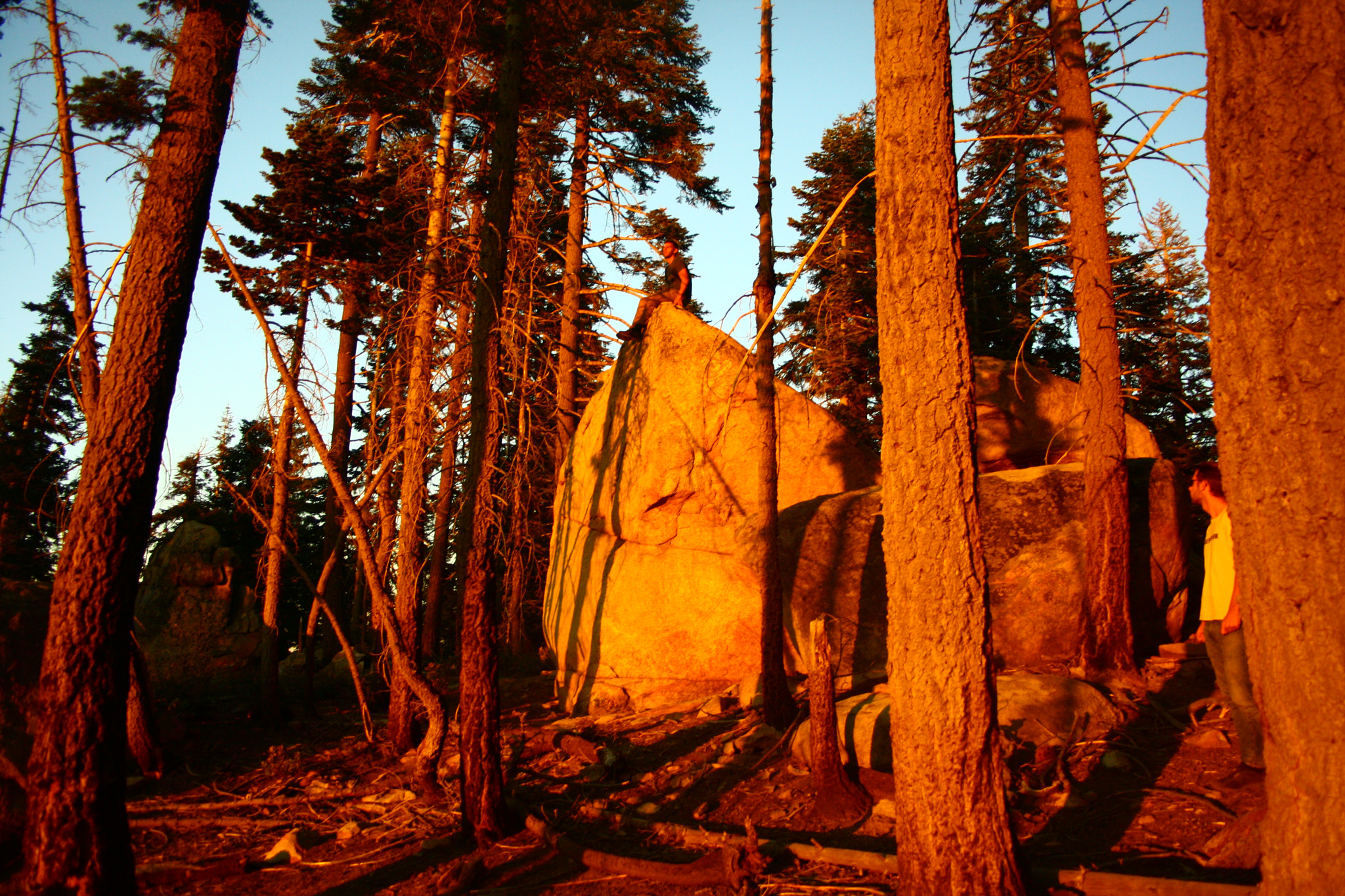 Canon EOS 1000D (EOS Digital Rebel XS / EOS Kiss F) + Sigma 18-50mm f/3.5-5.6 DC sample photo. Yosemite photography