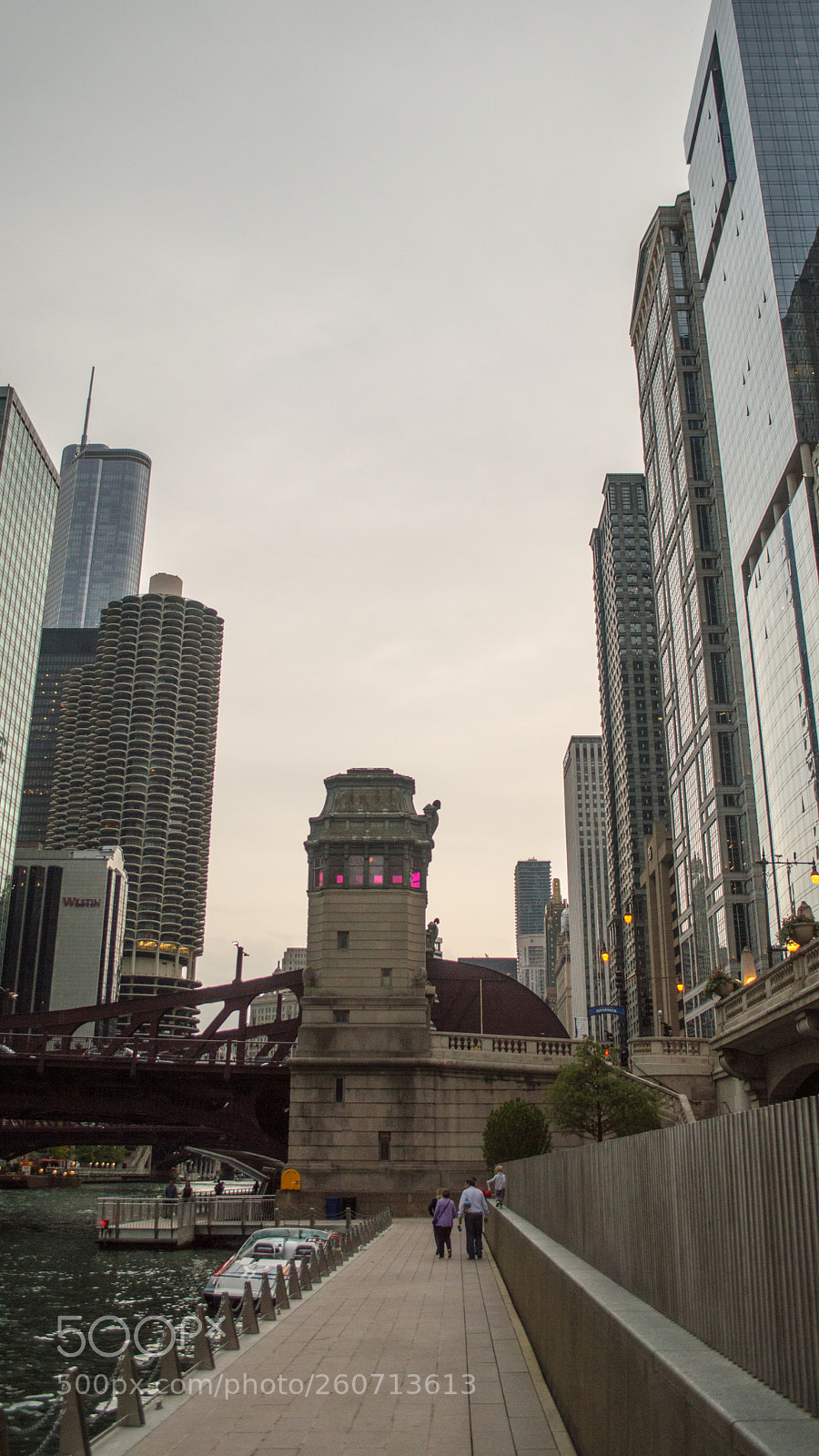 Nikon D3200 sample photo. Untitled photography