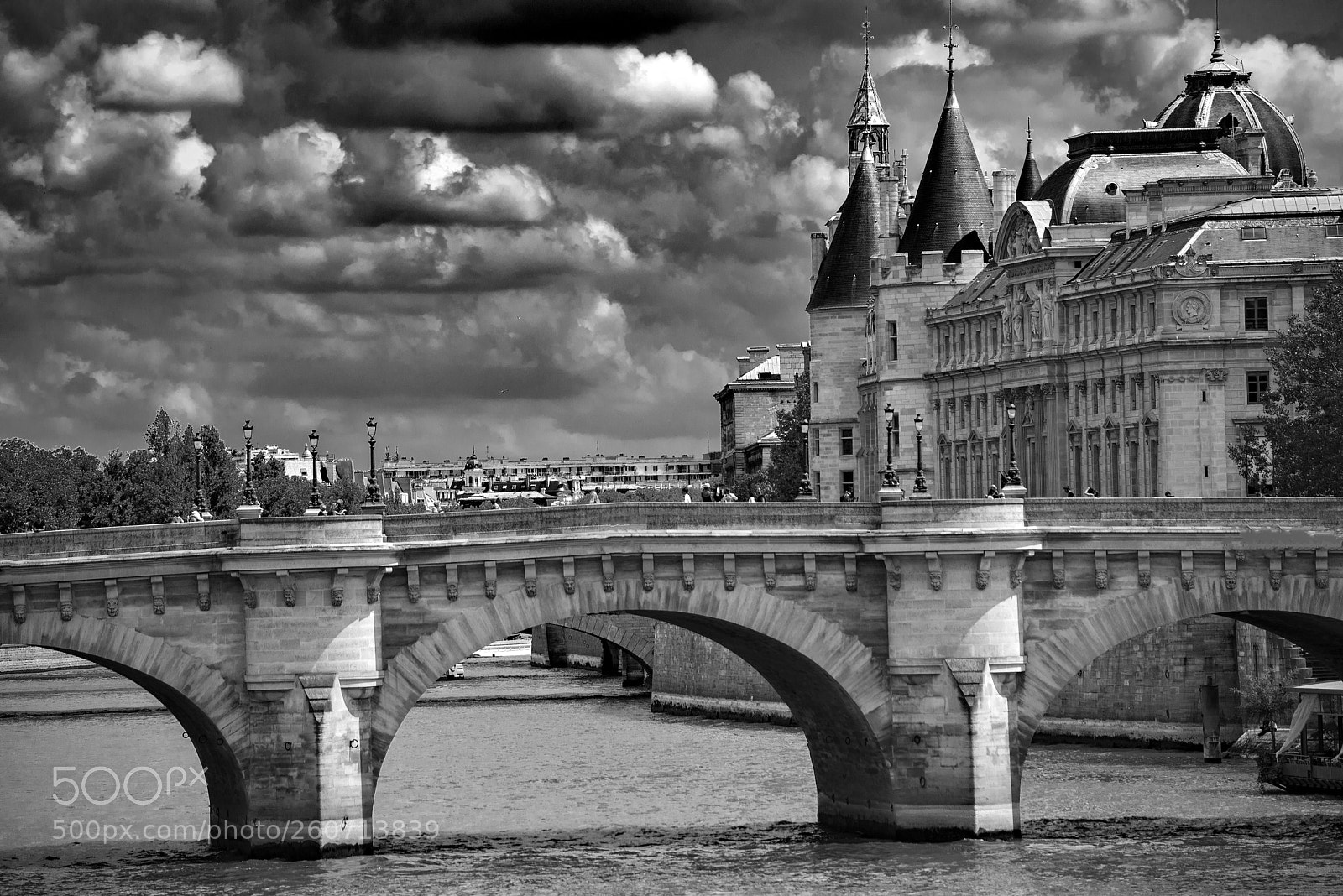 Nikon D610 sample photo. Paris pont-neuf photography