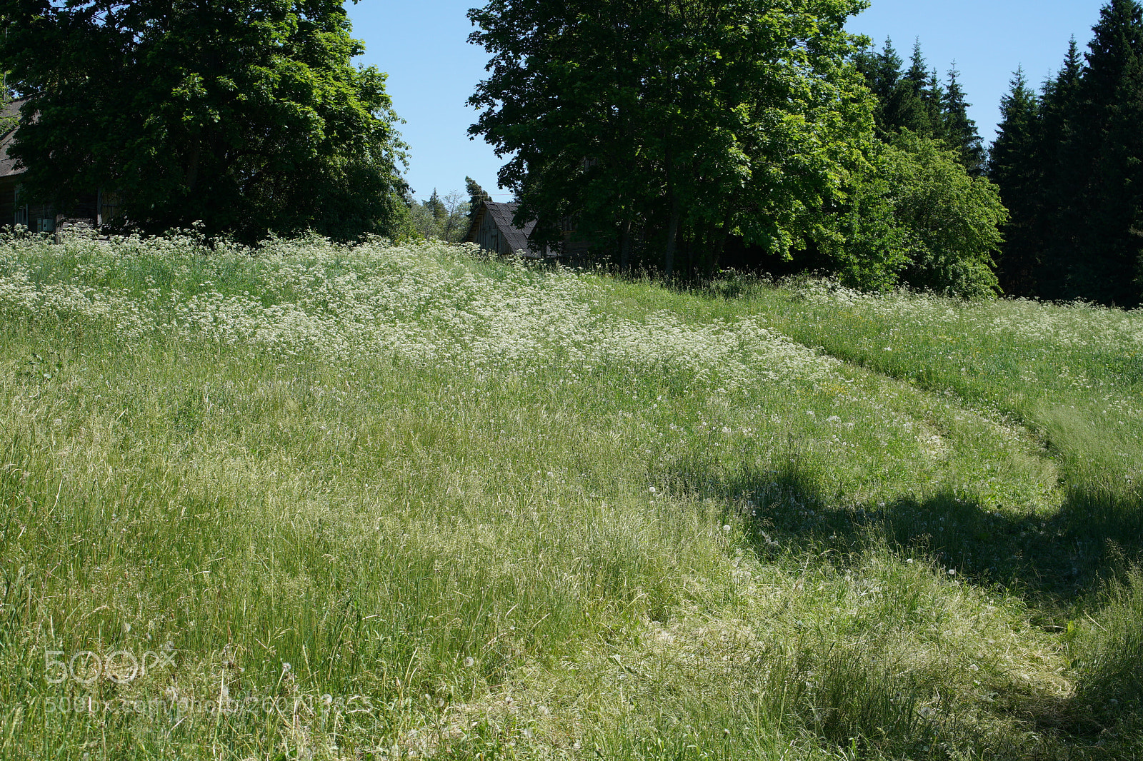 Sony a7R II sample photo. Dsc photography