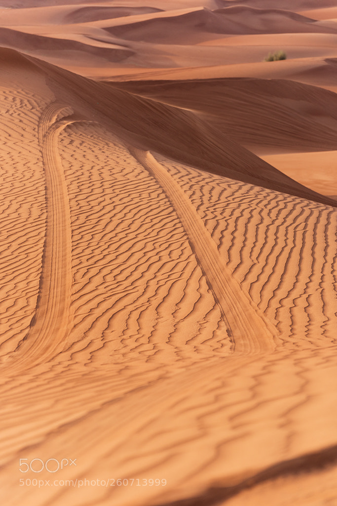 Nikon D810 sample photo. Follow the tracks photography