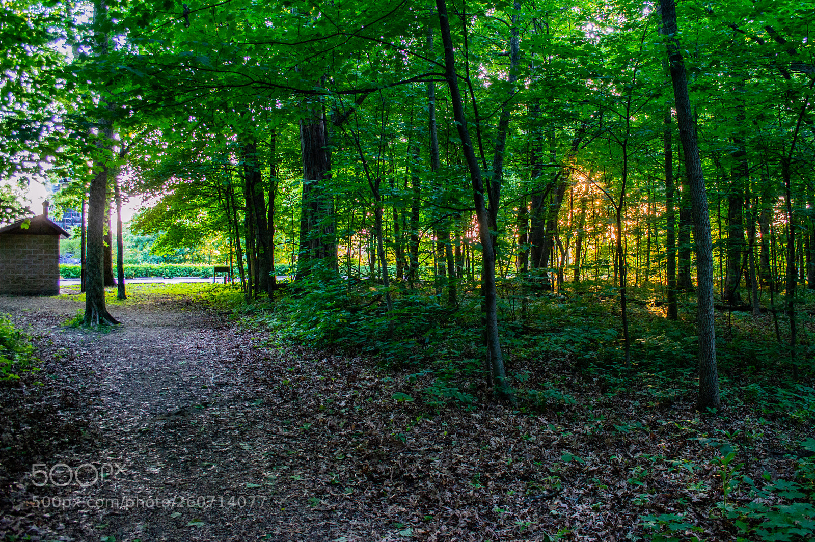 Nikon D3200 sample photo. Untitled photography