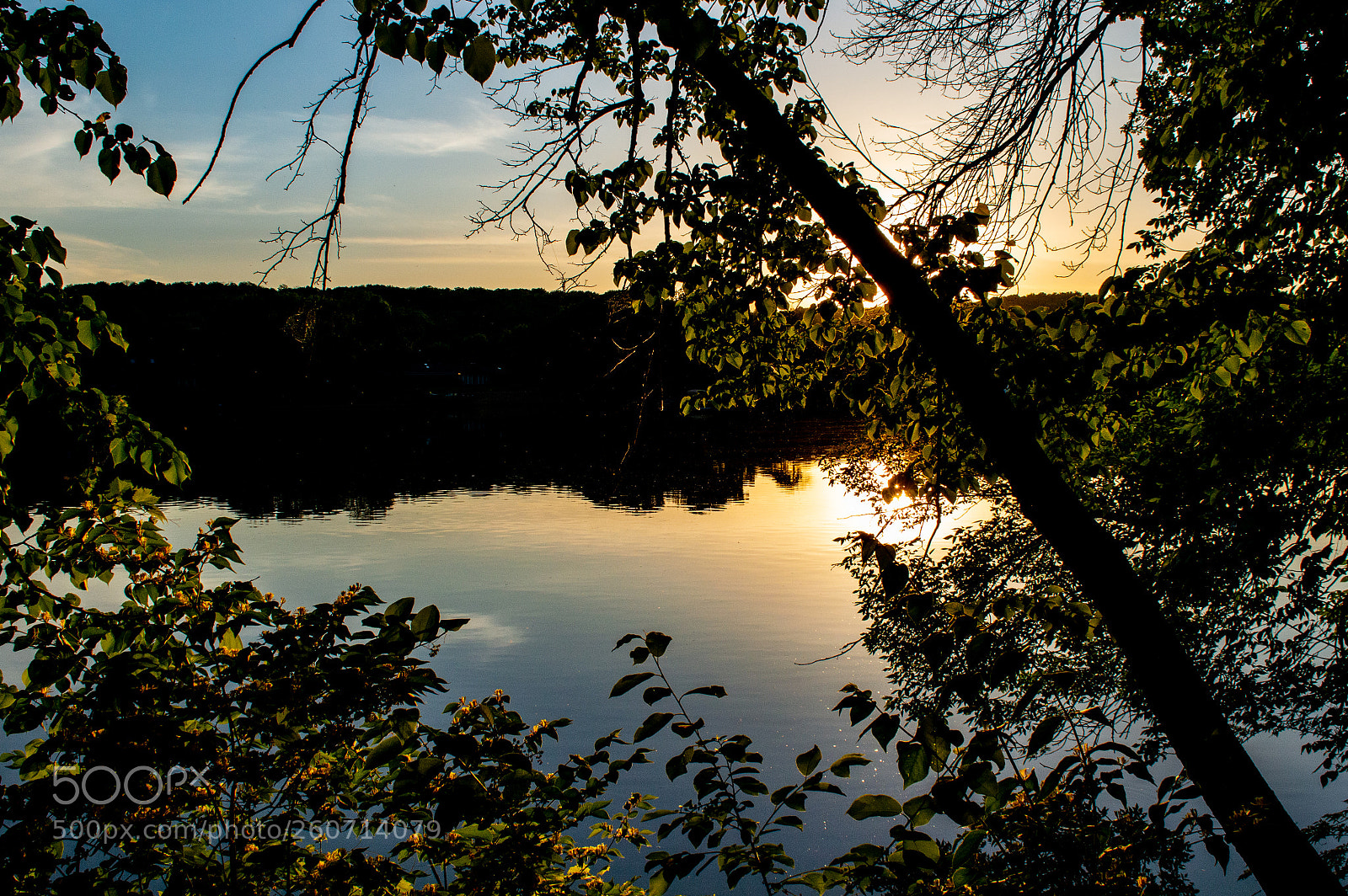 Nikon D3200 sample photo. Untitled photography