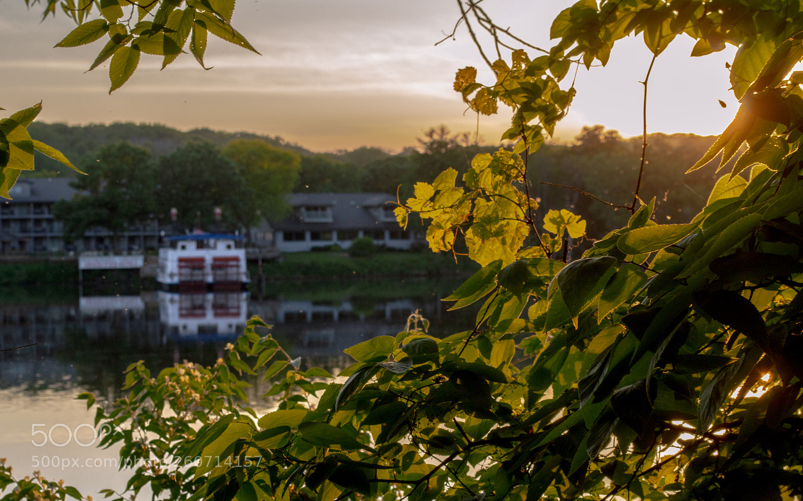 Nikon D3200 sample photo. Untitled photography