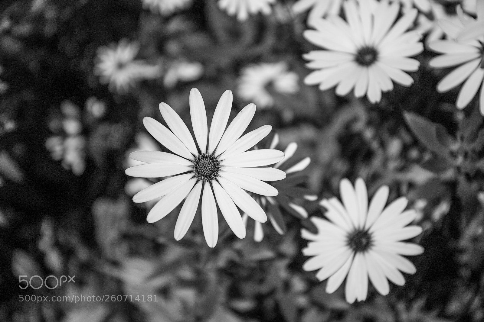 Canon EOS 6D sample photo. Cadiz (de ) photography