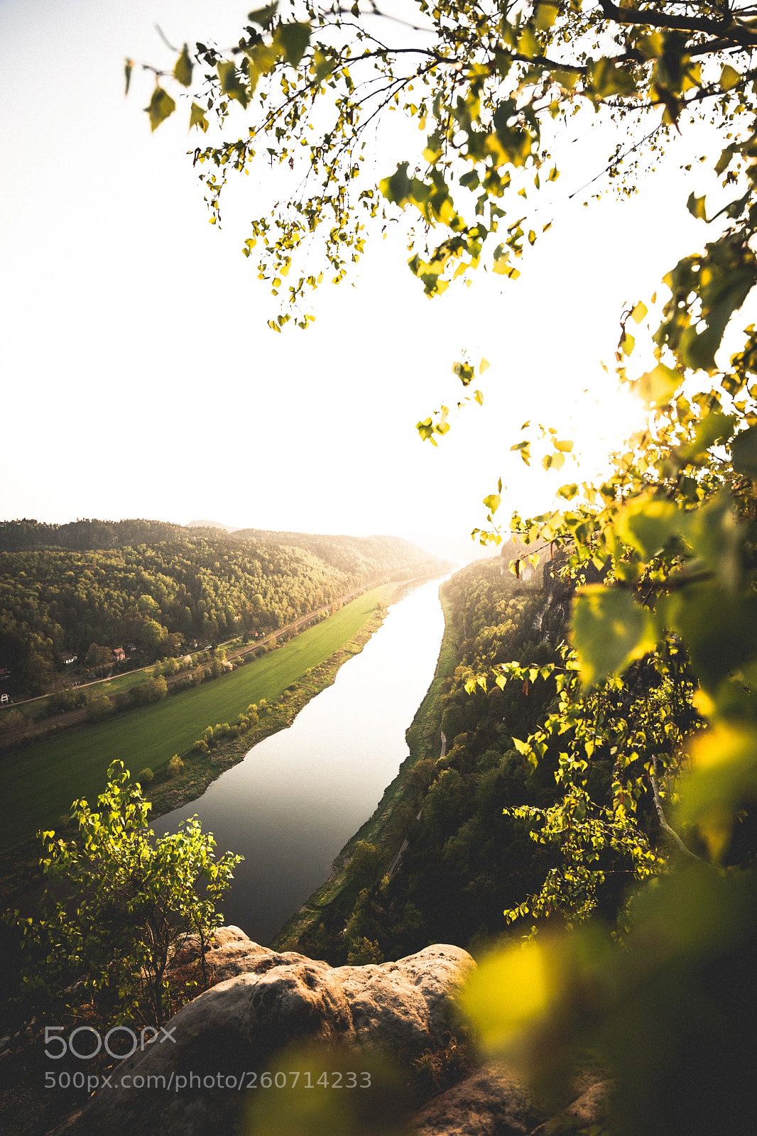 Sony a7 II sample photo. Blinded by the sun photography