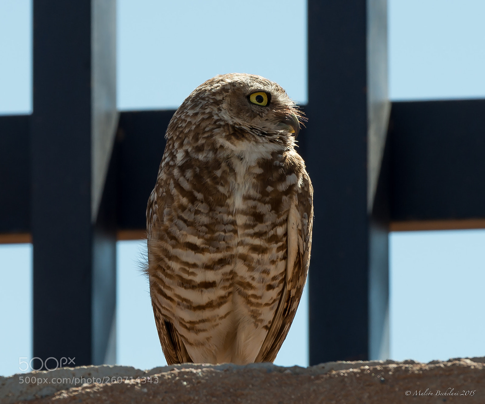 Nikon D800 sample photo. Bedo photography