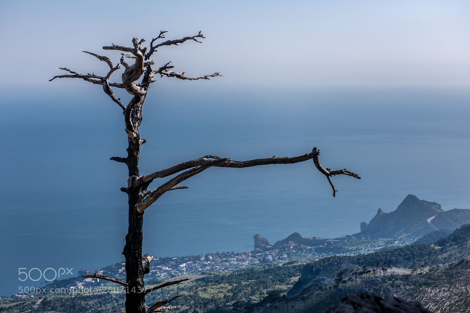 Nikon D810 sample photo. Cat rock, simeiz photography