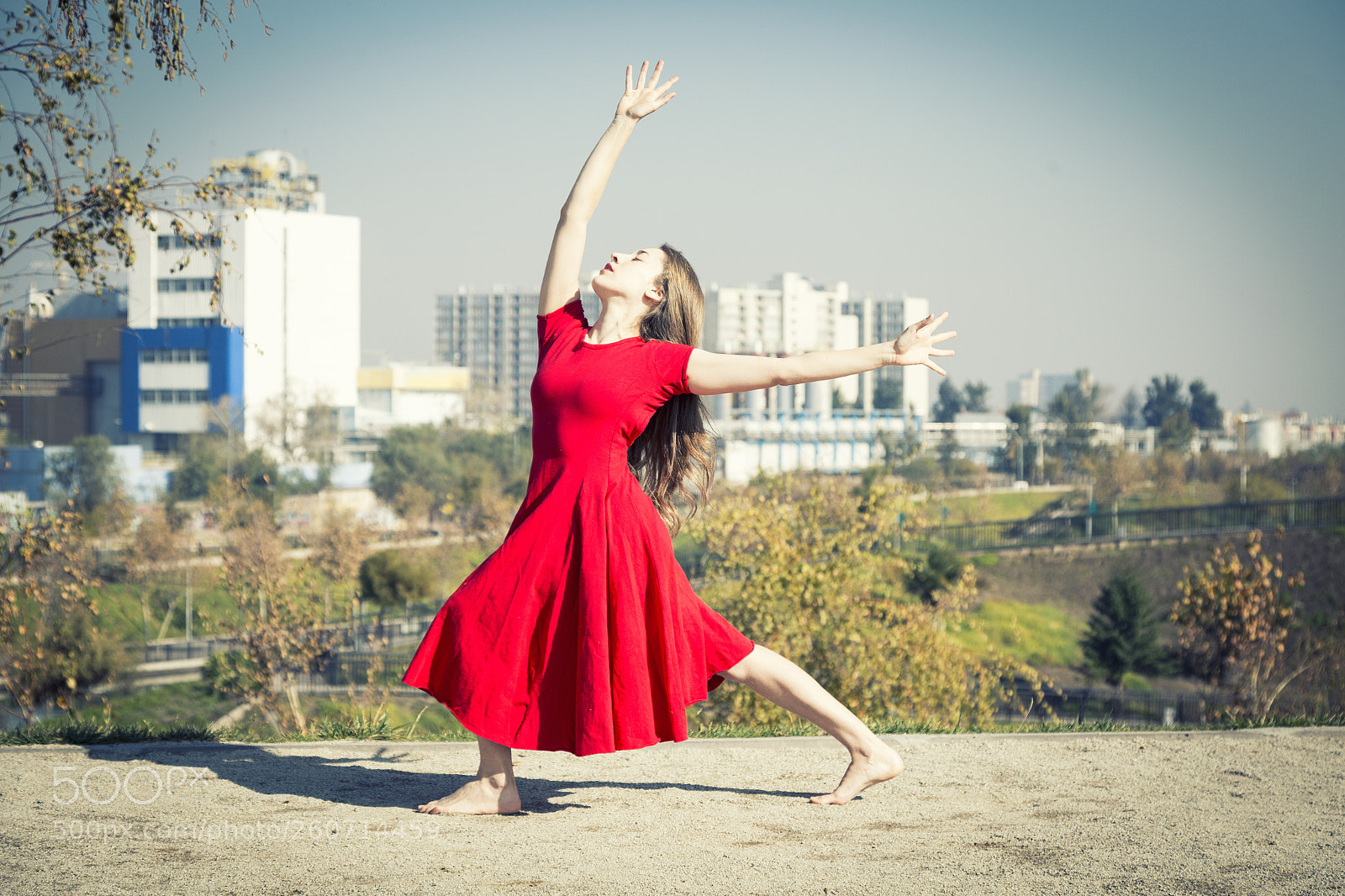 Canon EOS 6D sample photo. Untitled photography