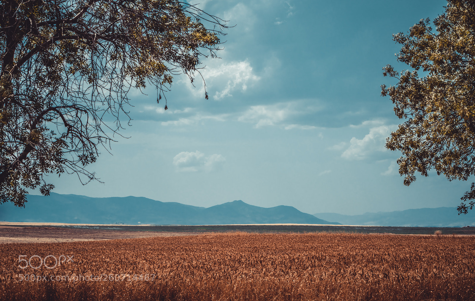 Nikon D5300 sample photo. Ain defla photography