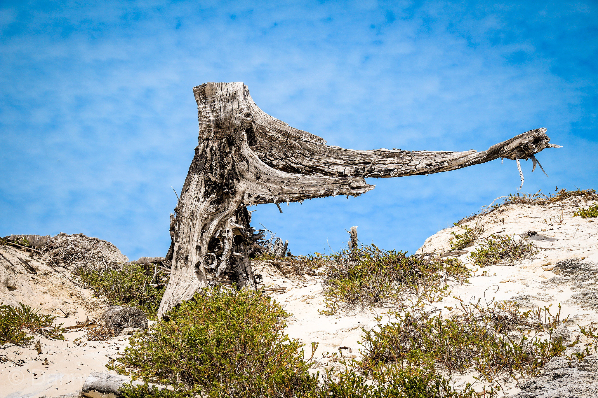 Canon EOS 100D (EOS Rebel SL1 / EOS Kiss X7) sample photo. Sculpture from the sea  photography