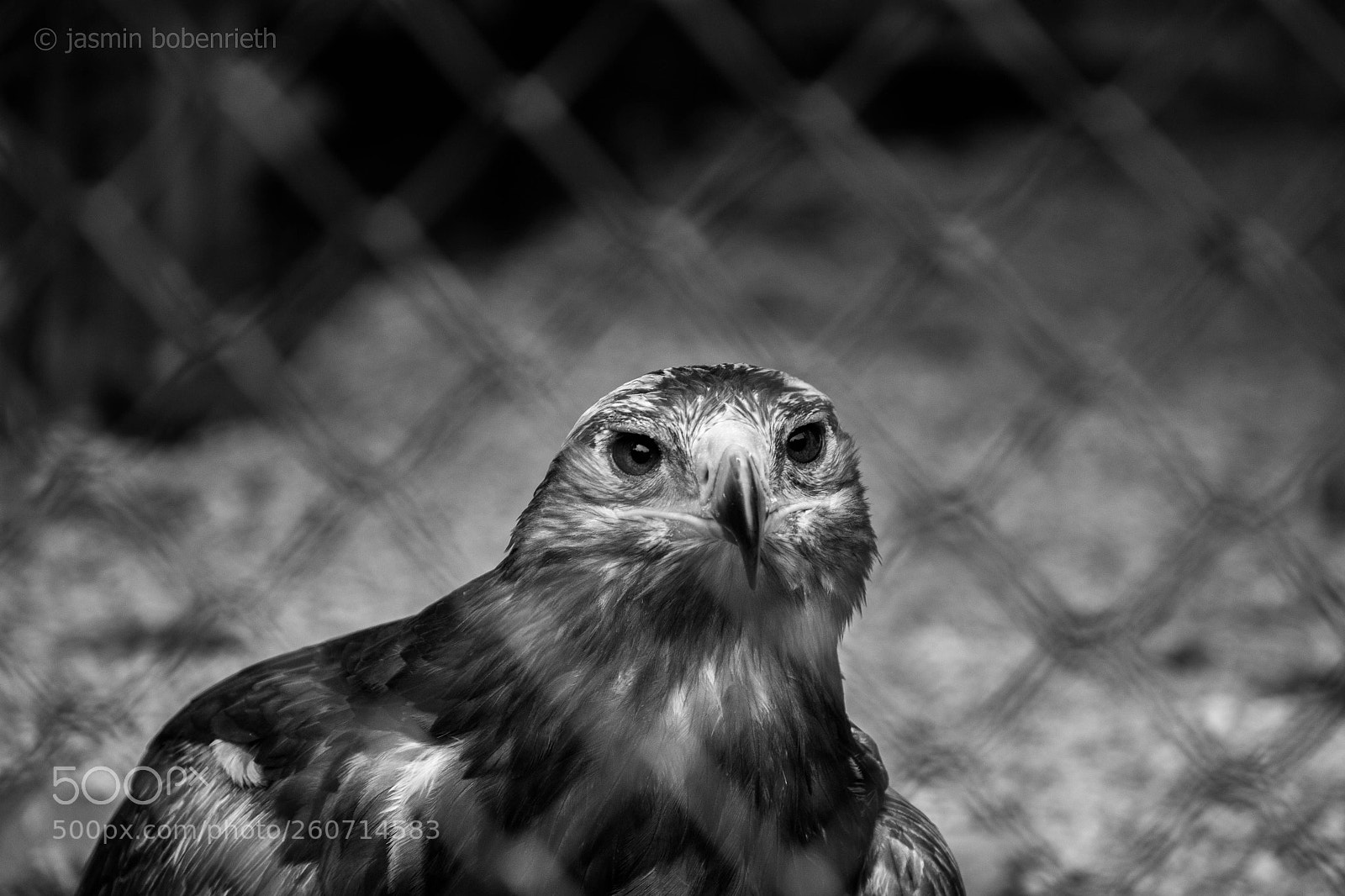Canon EOS 700D (EOS Rebel T5i / EOS Kiss X7i) sample photo. Behind bars photography