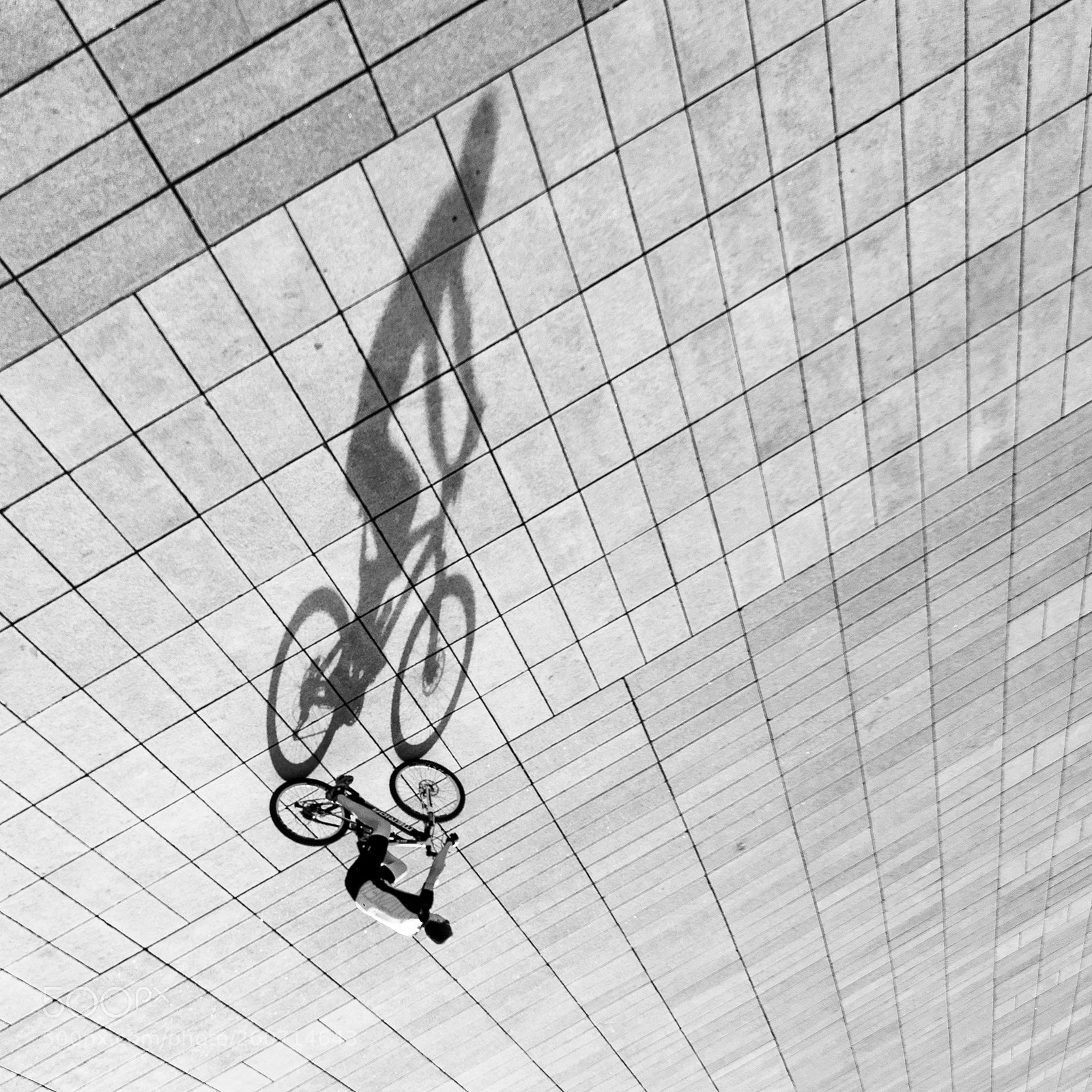 Canon EOS 6D Mark II sample photo. Upsidedown photography