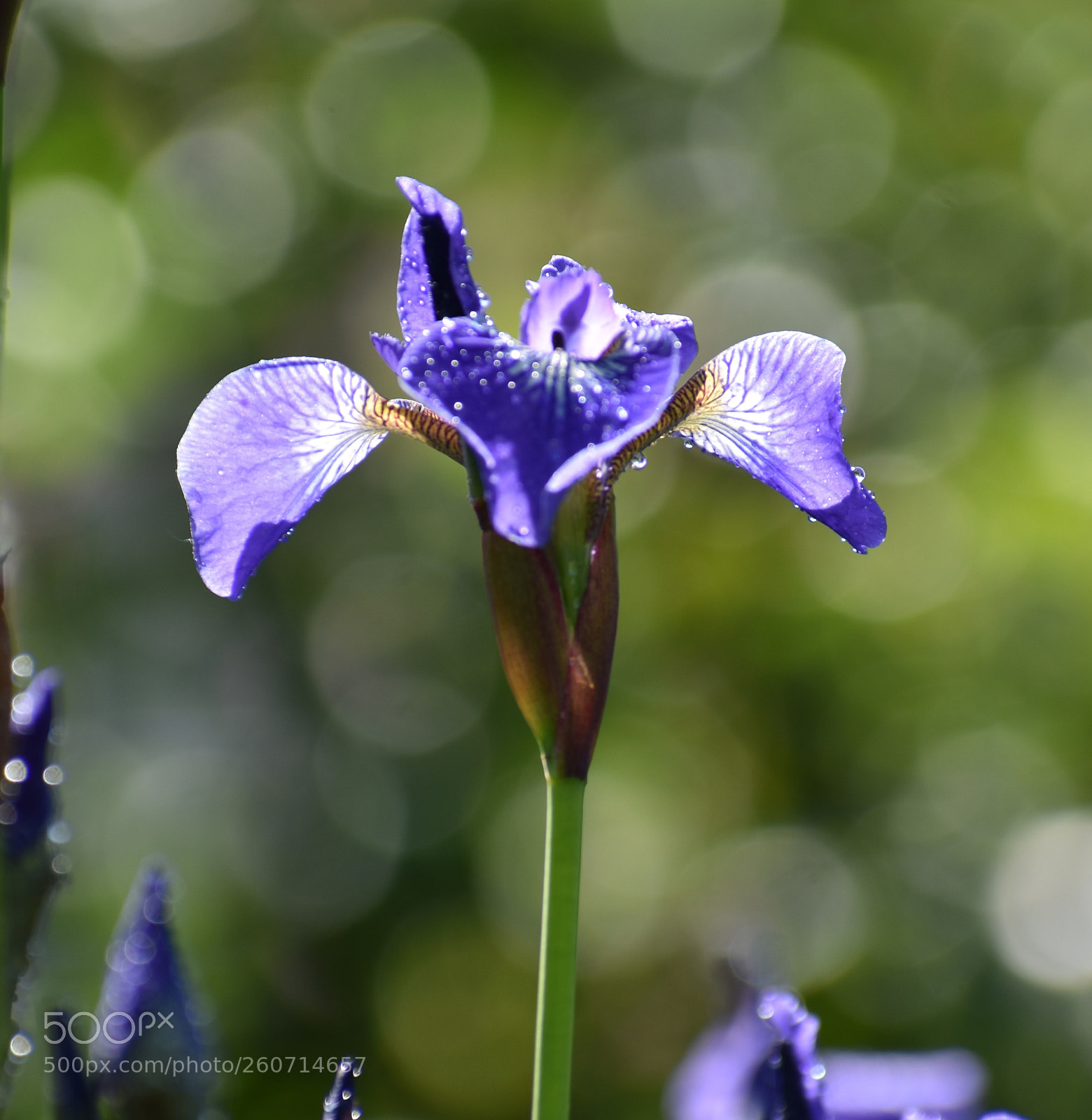 Nikon D3400 sample photo. Untitled photography