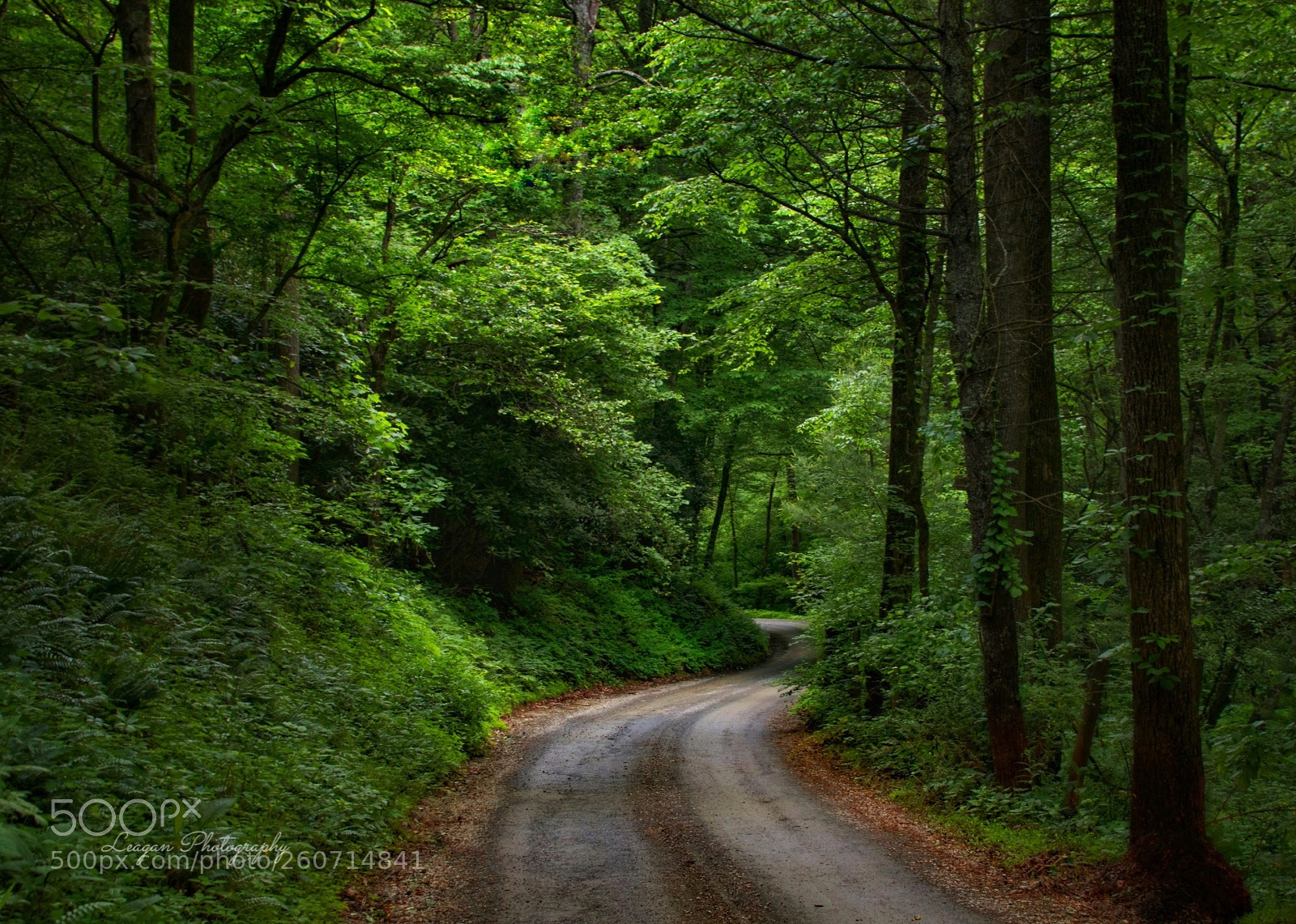 Canon EOS 80D sample photo. Backroads photography