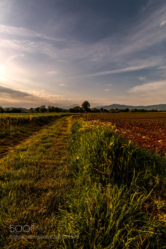 Canon EOS 6D sample photo. Sera di maggio photography