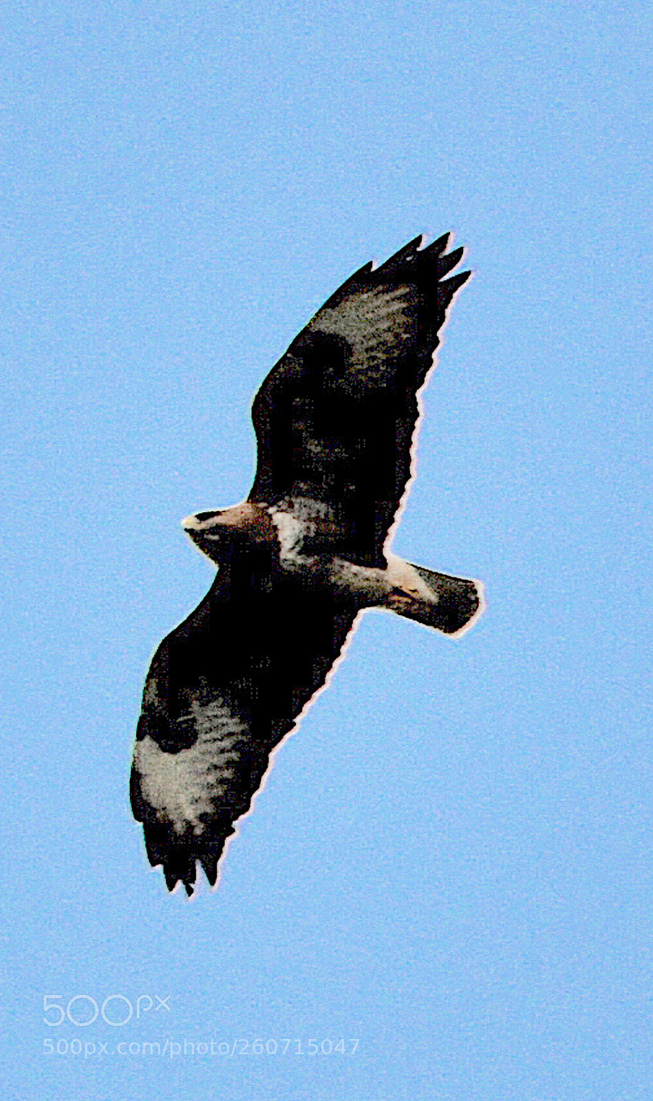 Nikon D7100 sample photo. In sky. from. geneva photography