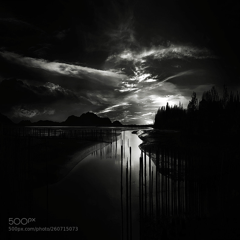 Fujifilm X-T2 sample photo. The river photography