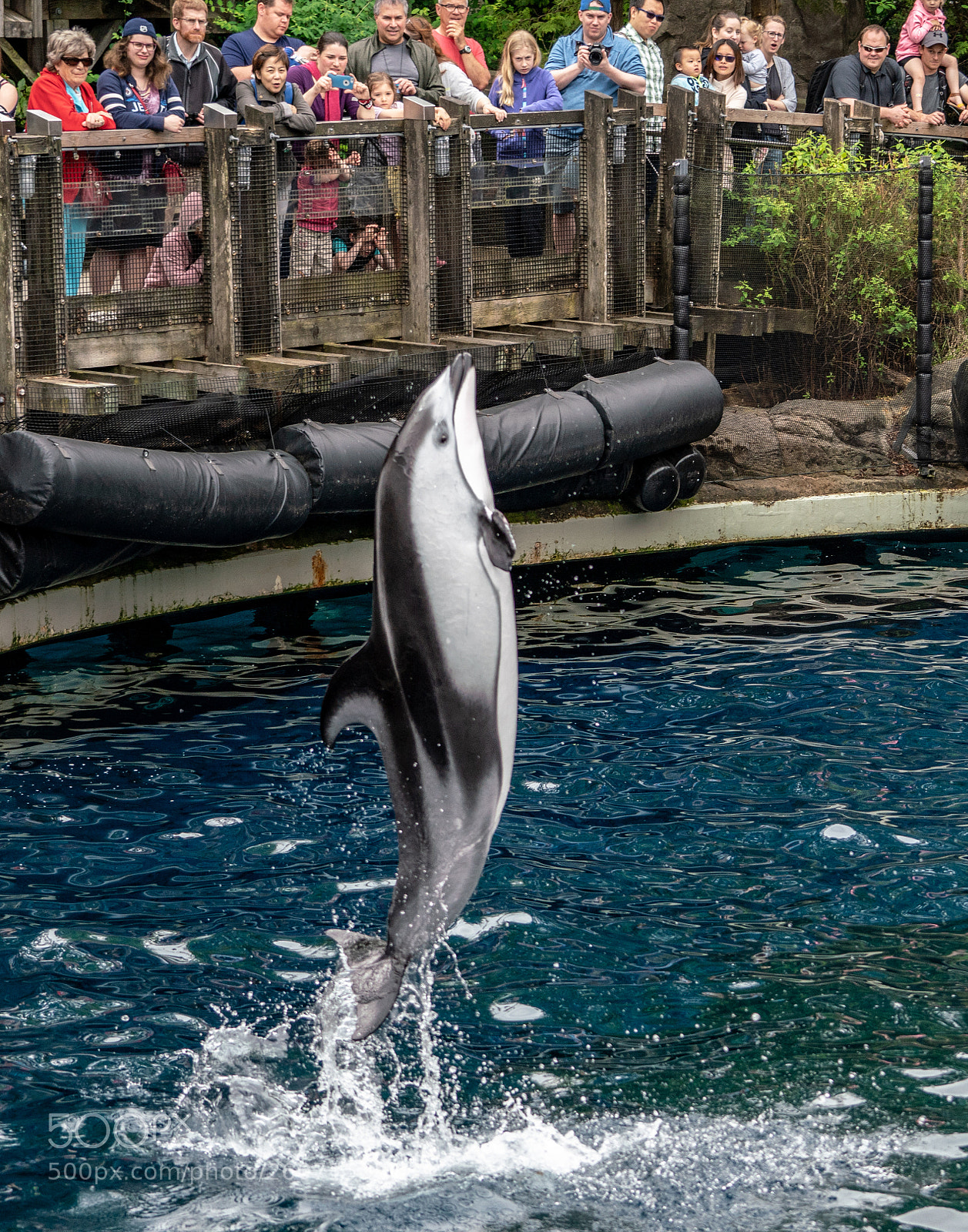 Sony a7R III sample photo. Jump photography