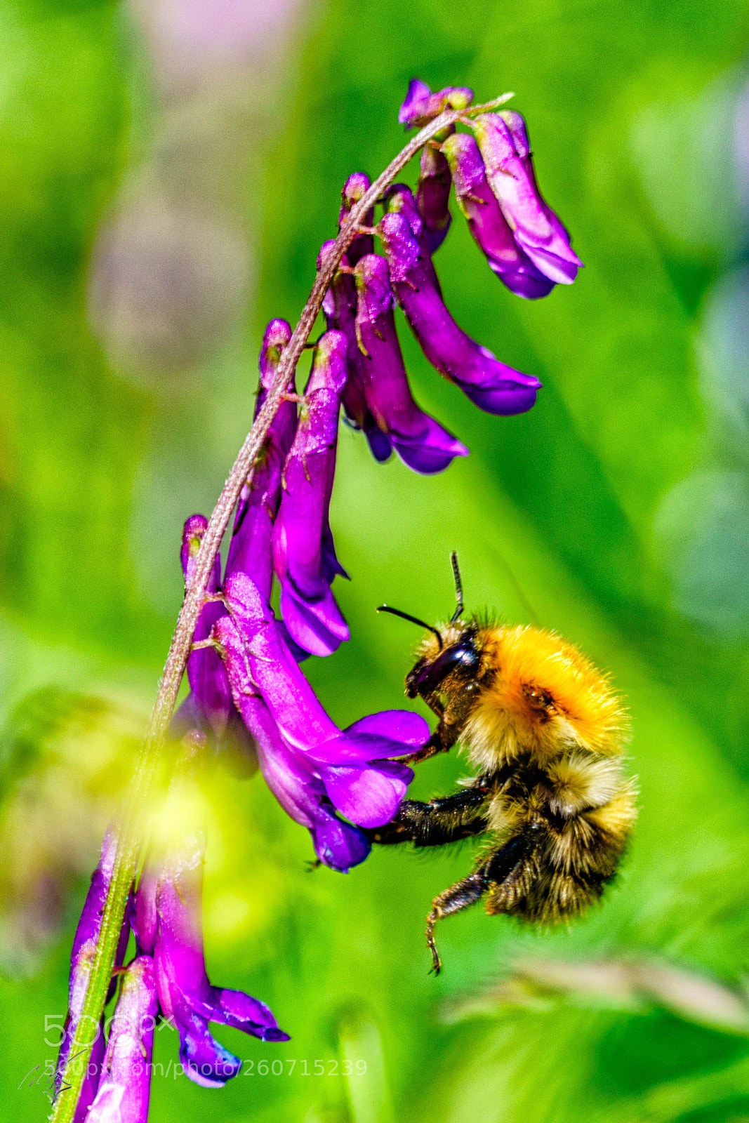 Sony a7R II sample photo. Landing photography