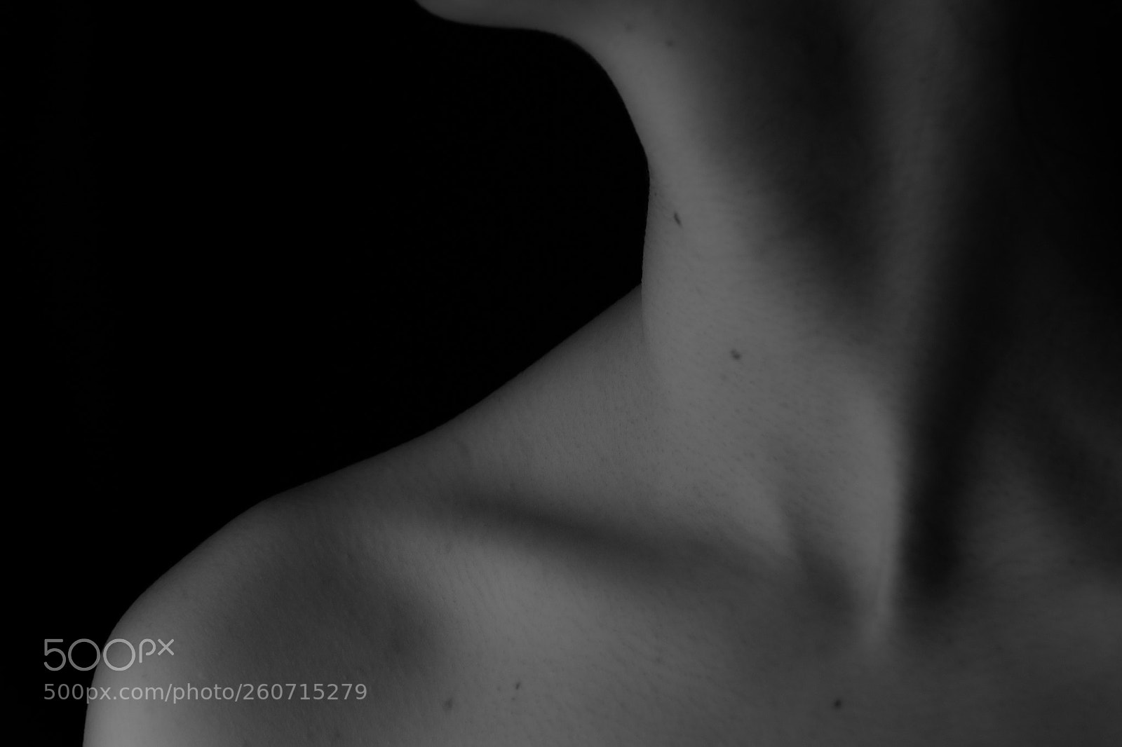 Nikon D3100 sample photo. Human body iv photography