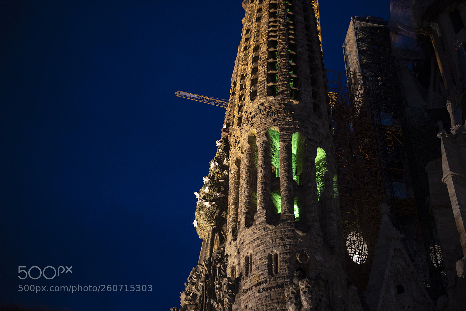 Nikon D750 sample photo. Tower of sagrada familia photography