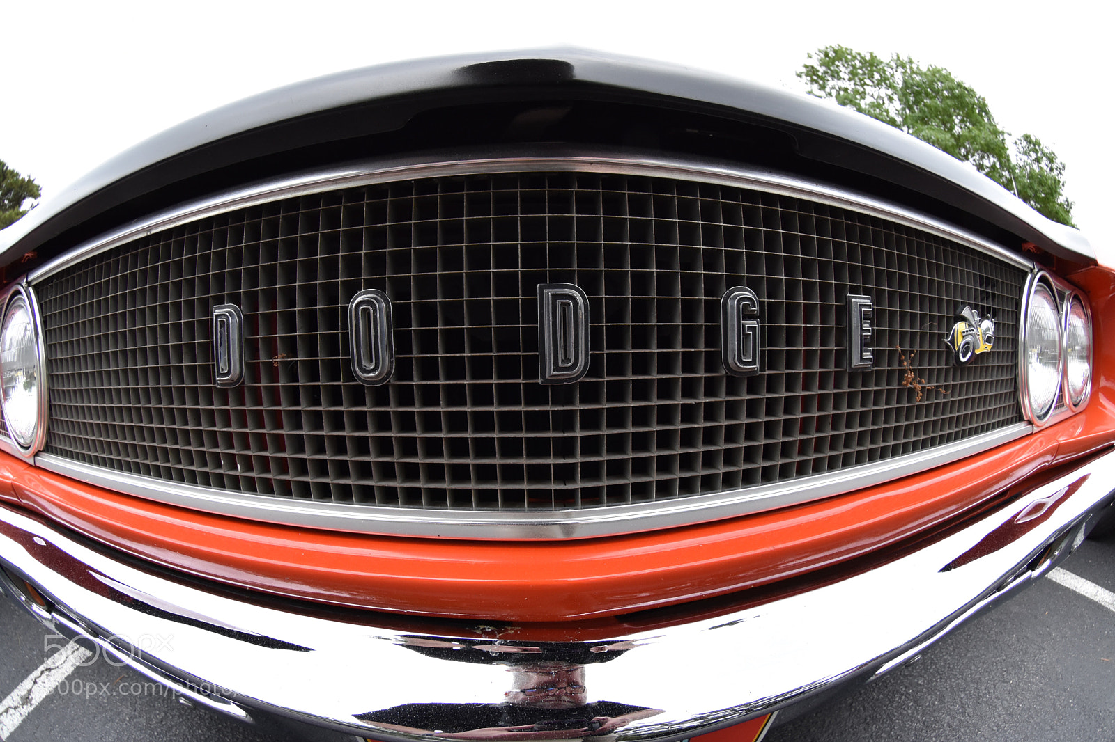 Nikon D7200 sample photo. Dodge! photography