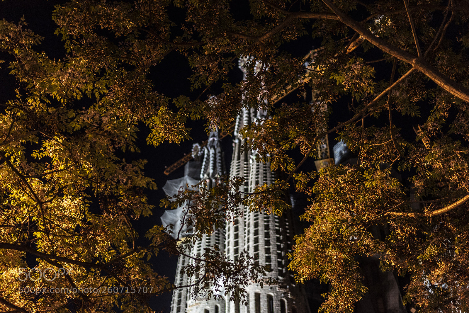 Nikon D750 sample photo. Sagrada familia through the photography