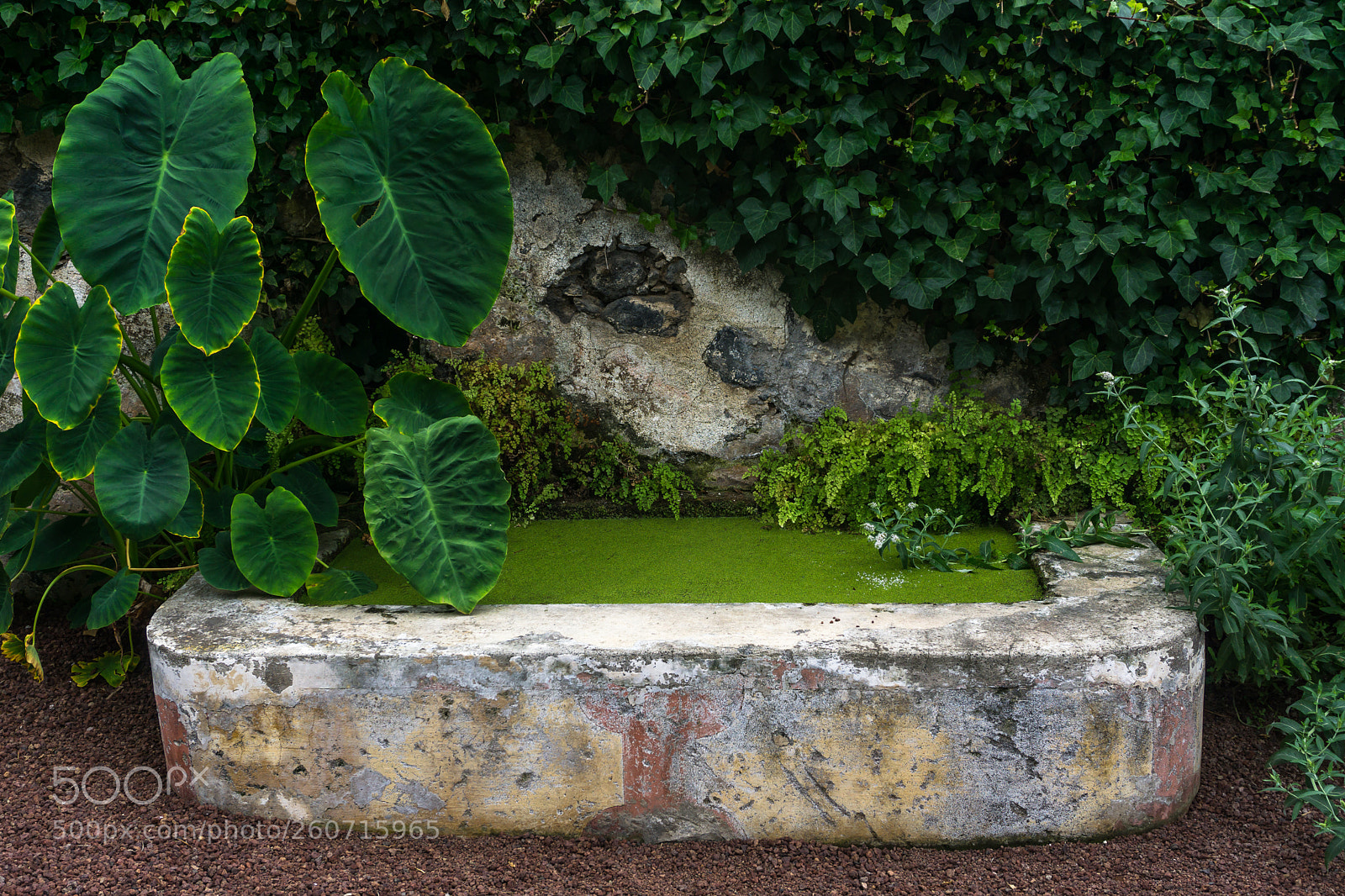 Sony a6000 sample photo. Dsc photography
