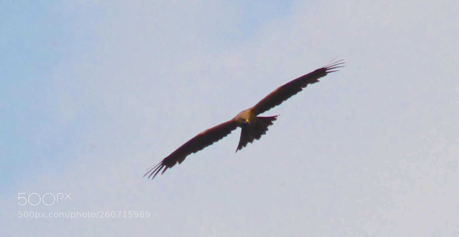 Nikon D7100 sample photo. In sky. from. geneva photography