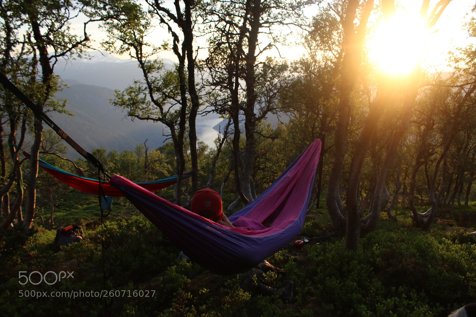 Canon EOS 70D sample photo. Untitled photography