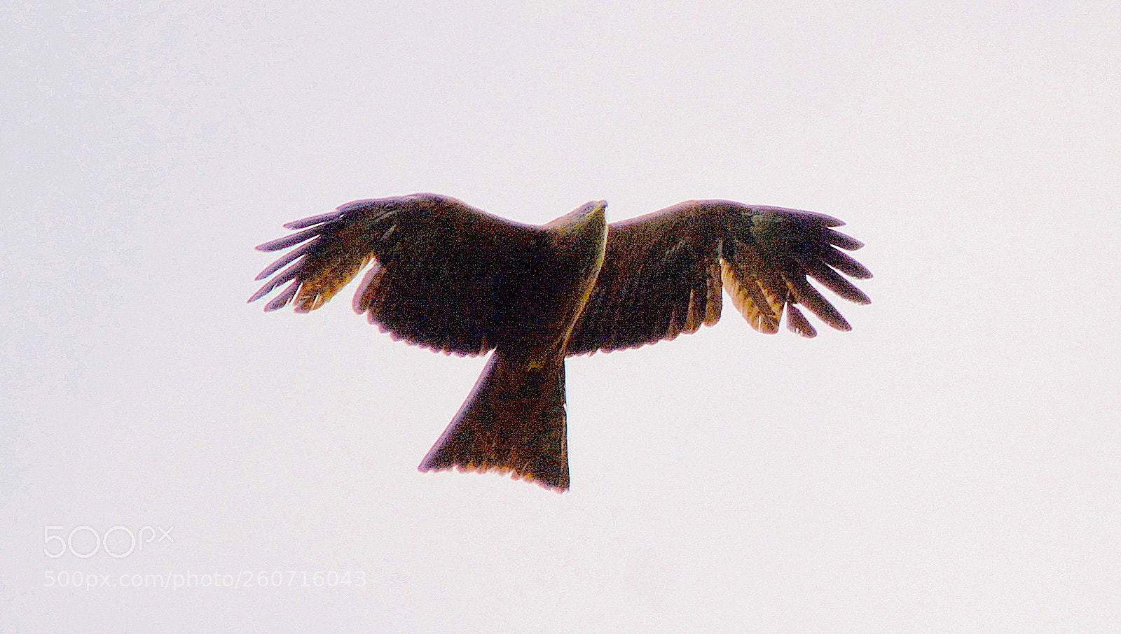 Nikon D7100 sample photo. In sky. from. geneva photography