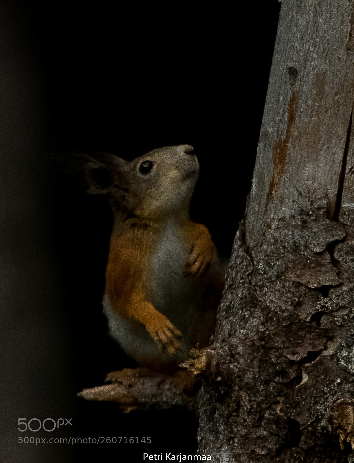 Canon EOS 7D Mark II sample photo. In the evening photography