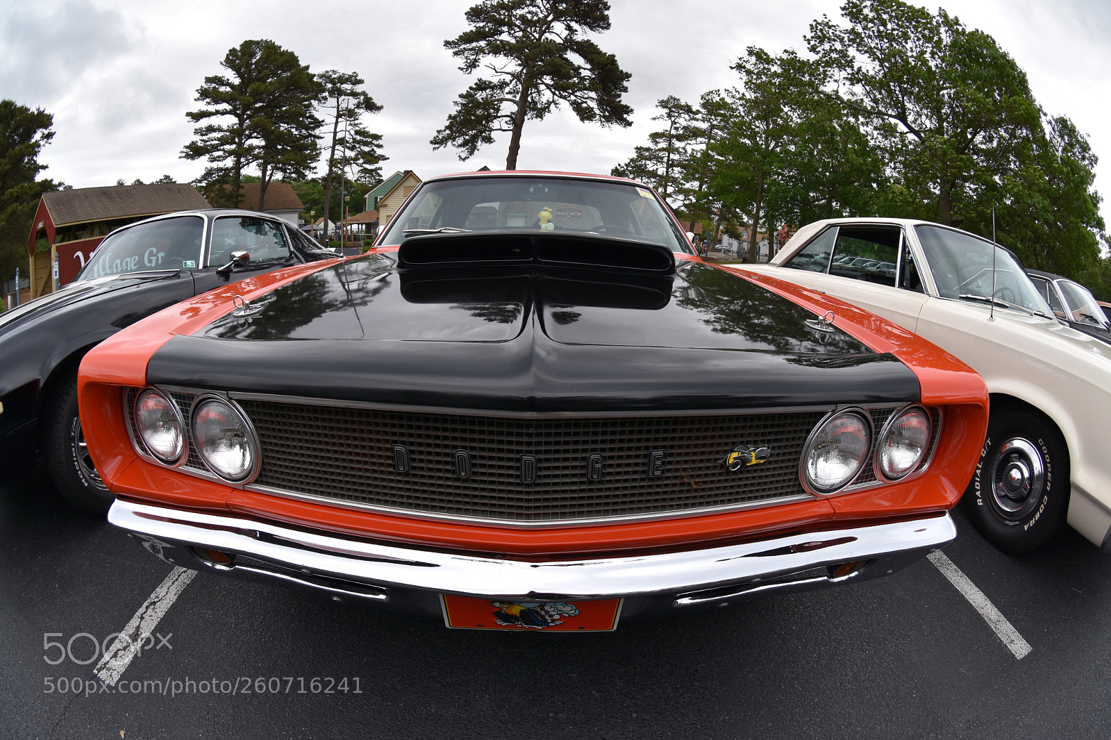 Nikon D7200 sample photo. The pullback  photography