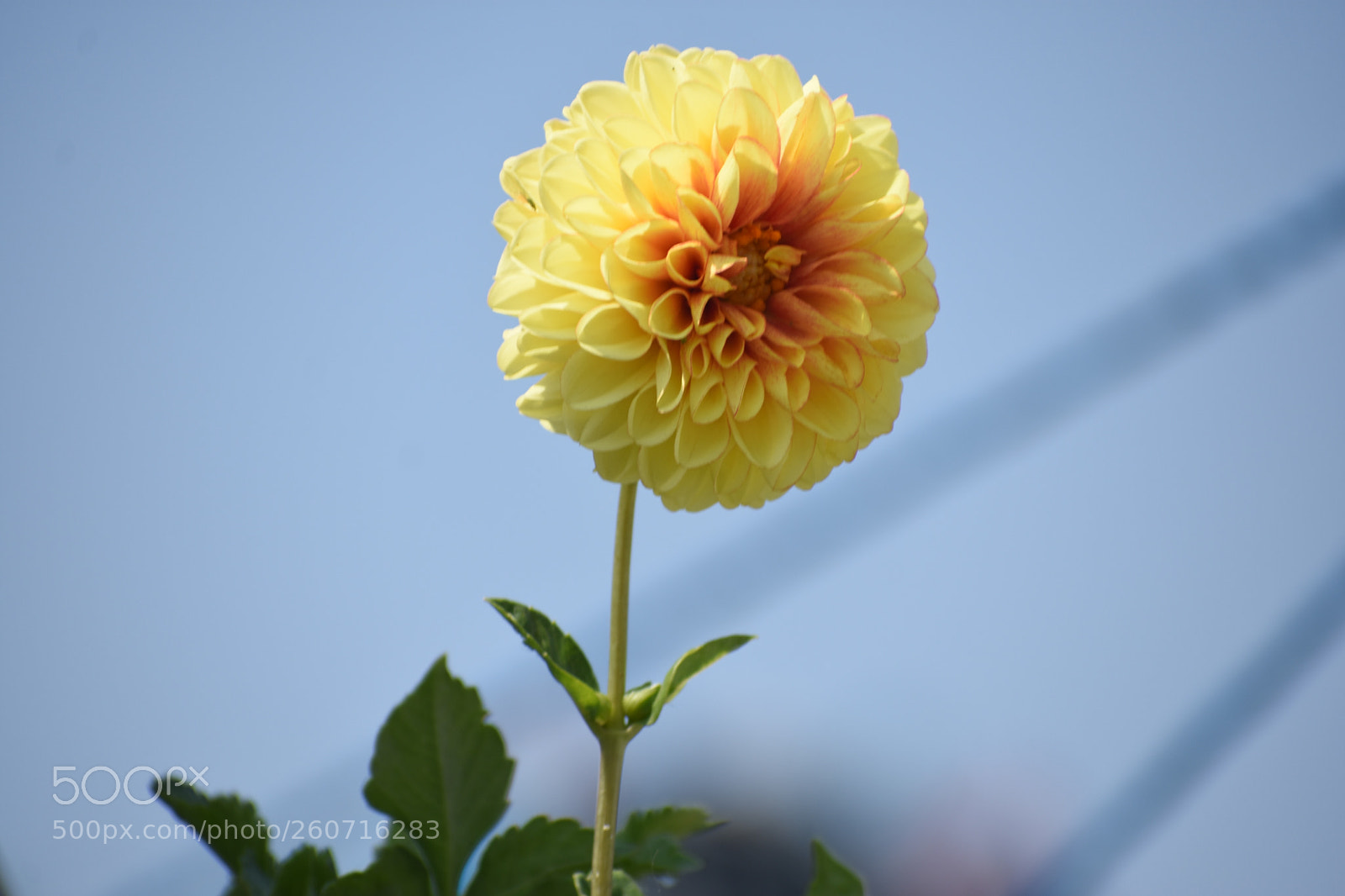 Nikon D3400 sample photo. Ecbo photography