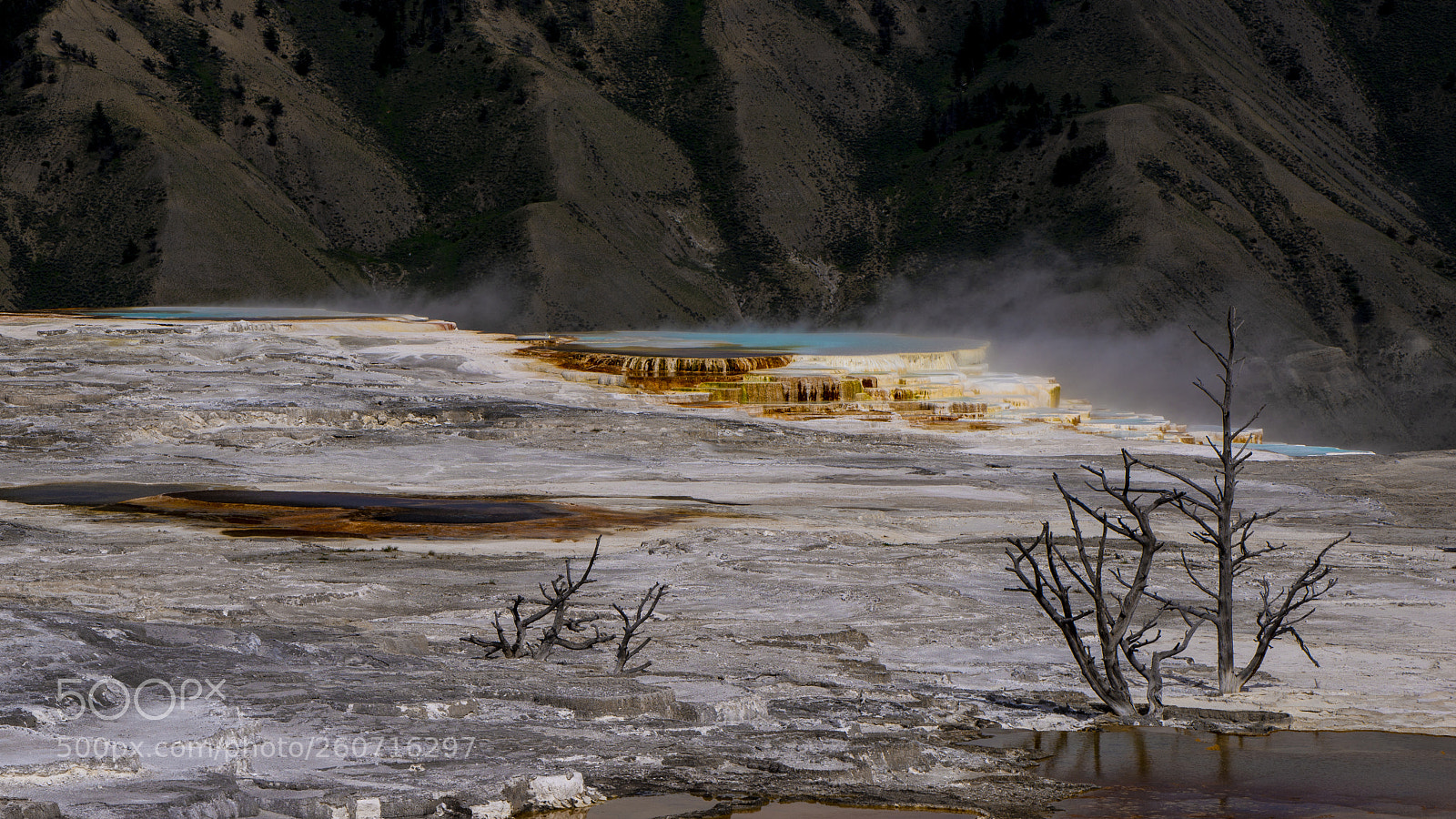 Nikon D610 sample photo. Alien landscapes i photography
