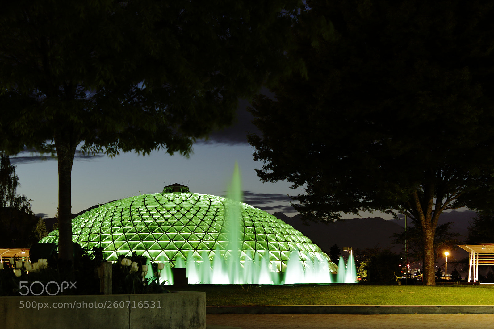 Canon EOS 600D (Rebel EOS T3i / EOS Kiss X5) sample photo. Qe park - bloedel photography
