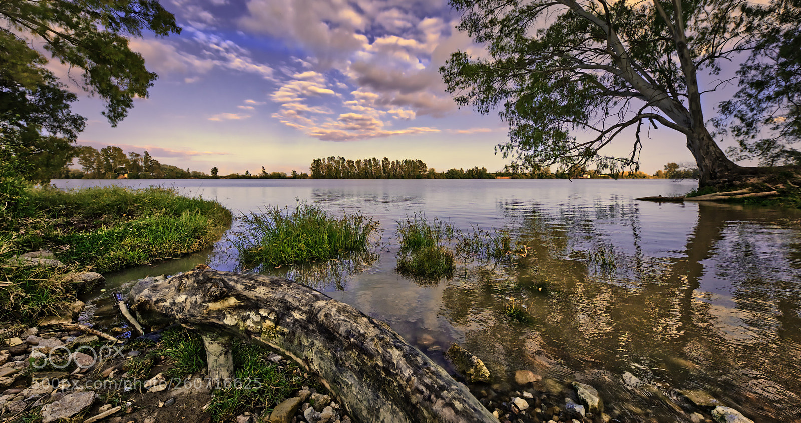 Canon EOS 5D Mark IV sample photo. R o guadalquivir a photography