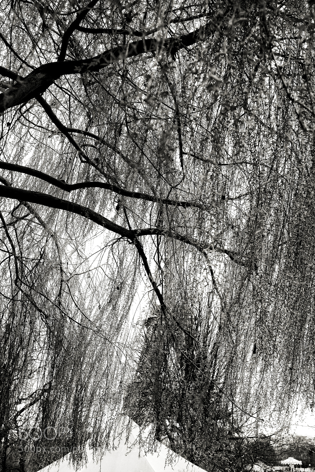 Canon EOS 5D Mark IV sample photo. Penombra della tour effeil photography